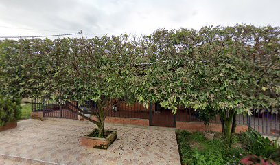 Droguería Palmarito