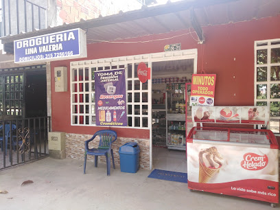 DROGUERÍA LINA VALERIA