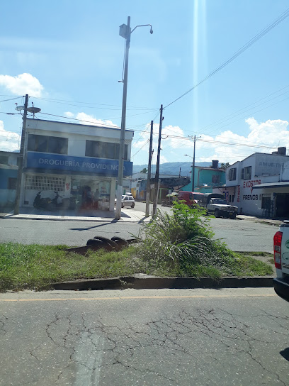 Drogueria Providencia
